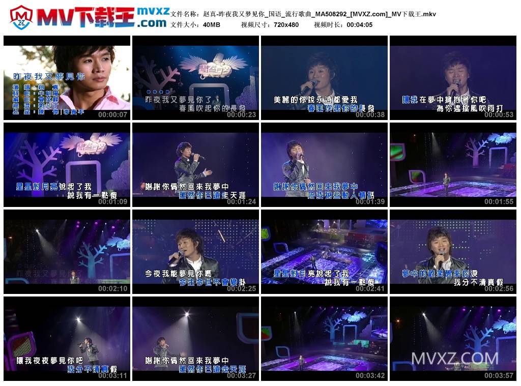 赵真-昨夜我又梦见你_国语_流行歌曲_MA508292